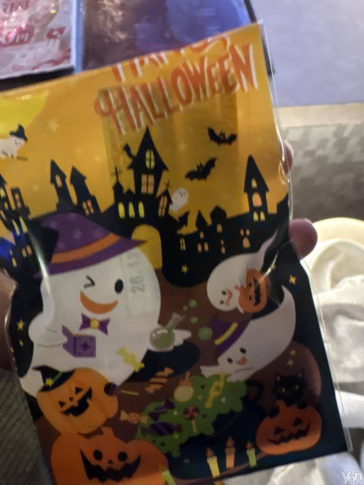 ���ܥ��ʥå��������륺�С�Girl's Bar All-in(�����륤��)(�����륺�С������륤��) ��2026ǯ10��31���̥�֥����֥ϥ����������🎃��
