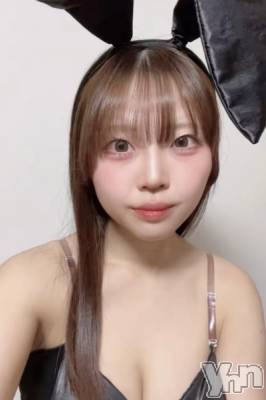 (20) Ĺ159cmܥʥå륺С Girl's Bar All-in(륤)(륺С륤)ҡ