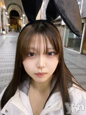 ���ܥ��ʥå��������륺�С�Girl's Bar All-in(�����륤��)(�����륺�С������륤��) ����(20)��4��16���̥�֥����ֽжФǤ�❕��