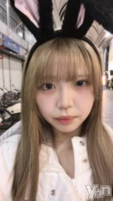 ���ܥ��ʥå��������륺�С�Girl's Bar All-in(�����륤��)(�����륺�С������륤��) ����(20)��4��23���̥�֥�����ʿ��❕��