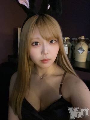 ���ܥ��ʥå��������륺�С�Girl's Bar All-in(�����륤��)(�����륺�С������륤��) ����(20)��5��28���̥�֥����֥Хˡ�❕��