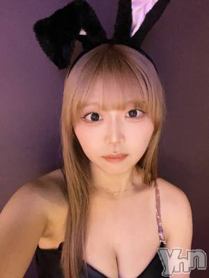 ���ܥ��ʥå��������륺�С�Girl's Bar All-in(�����륤��)(�����륺�С������륤��) ����(20)��6��6���̥�֥����ֲڶ����❕��