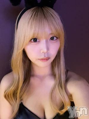 ���ܥ��ʥå��������륺�С�Girl's Bar All-in(�����륤��)(�����륺�С������륤��) ����(20)��6��27���̥�֥����ֲڶ�❕��