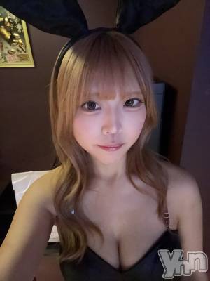 ���ܥ��ʥå��������륺�С�Girl's Bar All-in(�����륤��)(�����륺�С������륤��) ����(20)��12��28���̥�֥����֤���ä��󡪡���