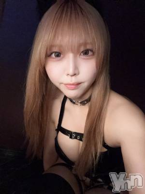 ���ܥ��ʥå��������륺�С�Girl's Bar All-in(�����륤��)(�����륺�С������륤��) ����(20)��3��15���̥�֥����ֵ۷쵴�����👿��