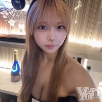 Girl's Bar All-in(�����륤��)