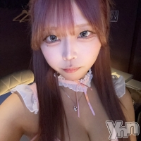 ���ܥ��ʥå��������륺�С� Girl's Bar All-in(�����륤��)(�����륺�С������륤��) �����2��13���̥�֥����֥��祳��������🍫��