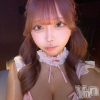 ���ܥ��ʥå��������륺�С� Girl's Bar All-in(�����륤��)(�����륺�С������륤��) �����2��14���̥�֥����֥��祳�������♡��