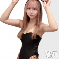 Girl's Bar All-in(�����륤��)