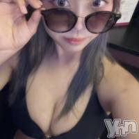 ���ܻԥ��ʥå��������륺�С� Girl's Bar All-in(�����륤��)(�����륺�С������륤��) ����β���(2����)