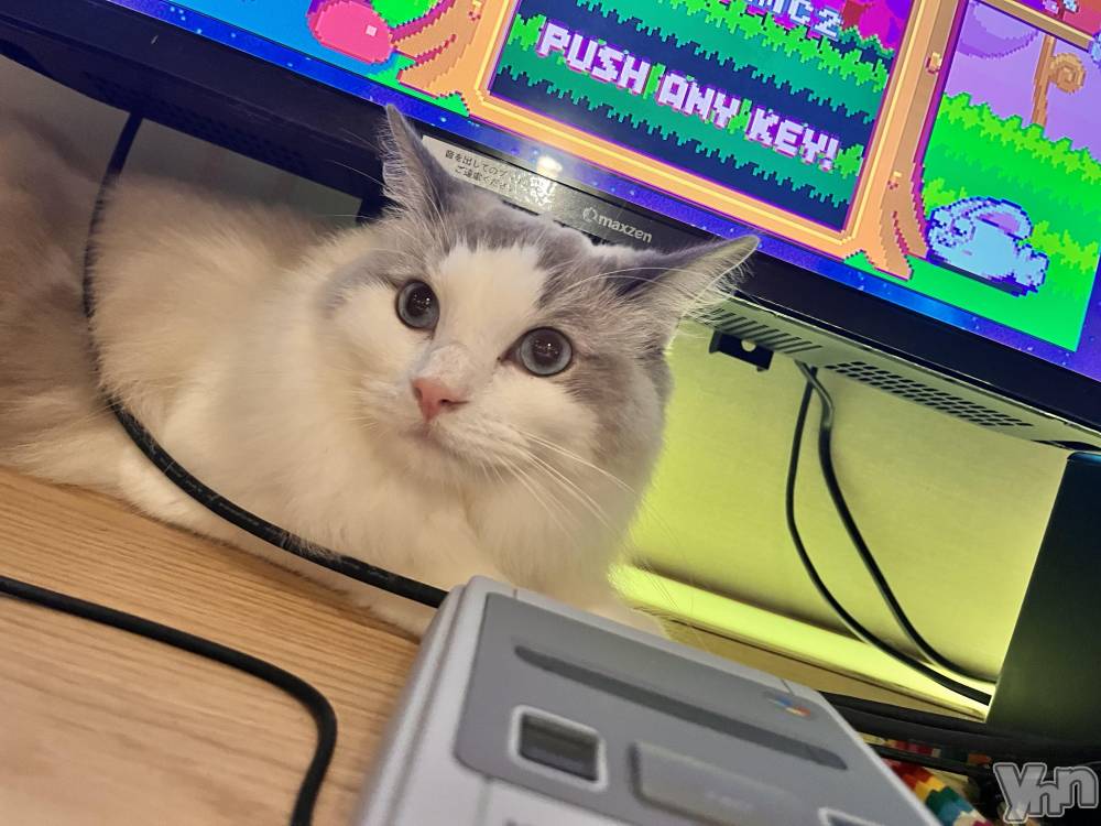 ���ܥ���Х��顦�����CLUB WONDER(����� ������) ��ë ���ۤ�4��17���̥�֥����֤ˤ㡼�����