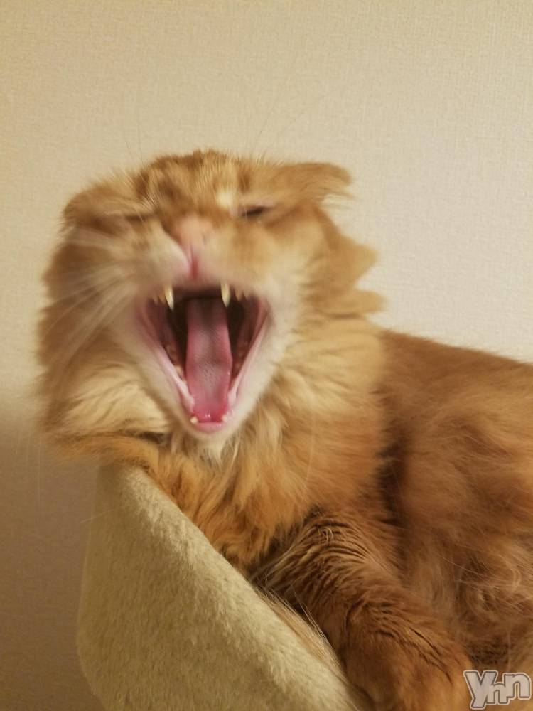 ���ܥ���Х��顦�����CLUB WONDER(����� ������) ��ë ���ۤ�4��18���̥�֥����ּ�ǯ�����☺️☺️��