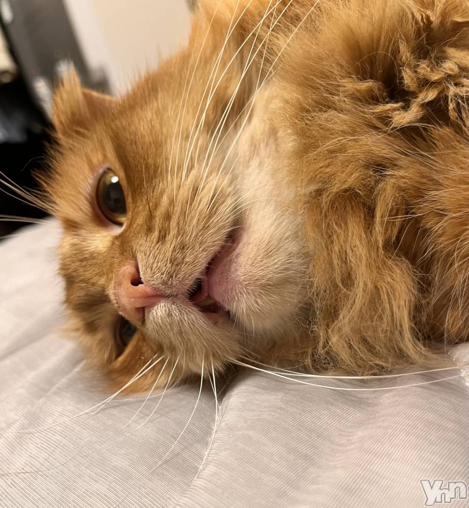 ���ܥ���Х��顦�����CLUB WONDER(����� ������) ��ë ���ۤ�5��9���̥�֥����֤�������🤢🤢��