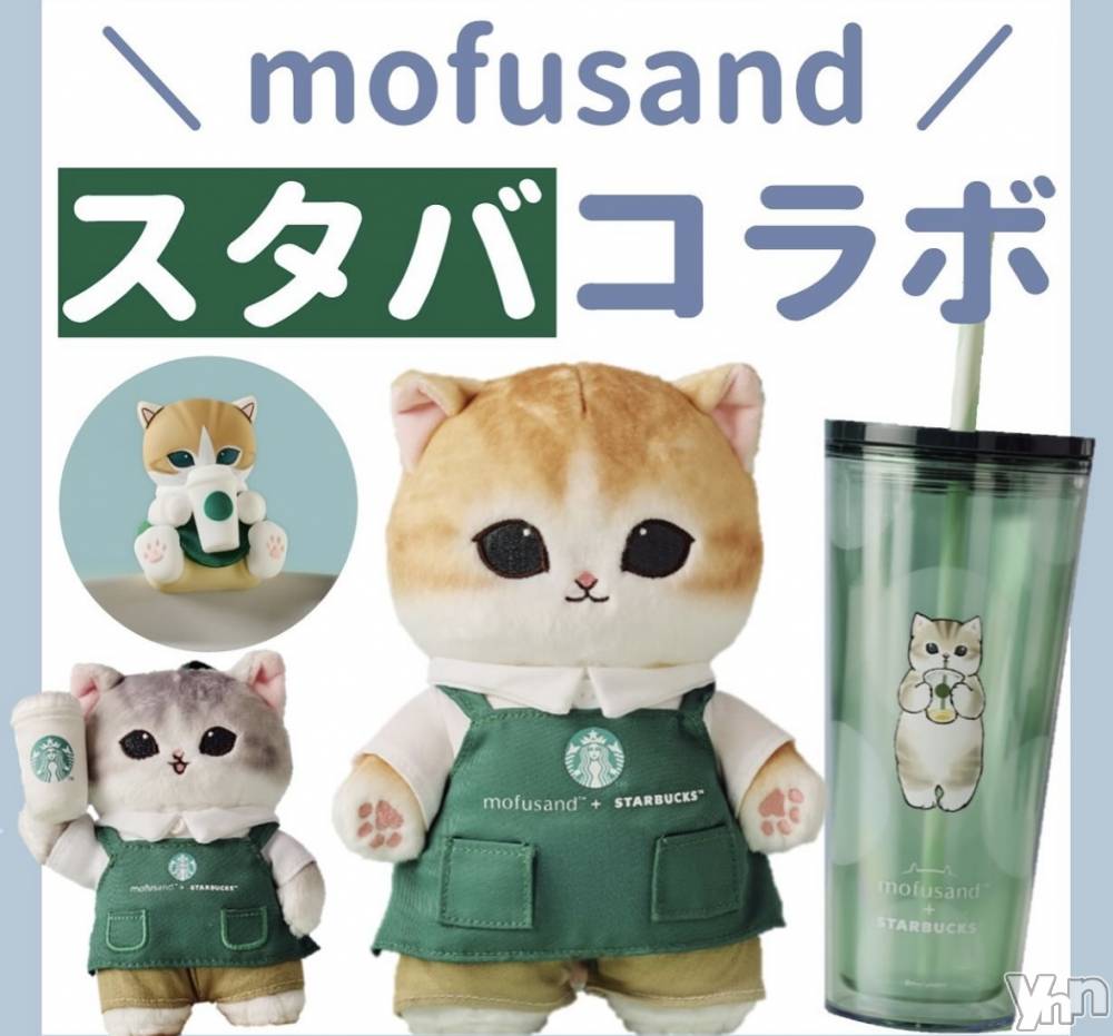 ���ܥ���Х��顦�����CLUB WONDER(����� ������) ��ë ���ۤ�8��16���̥�֥������ߤ�������🐱❤️‍🔥��