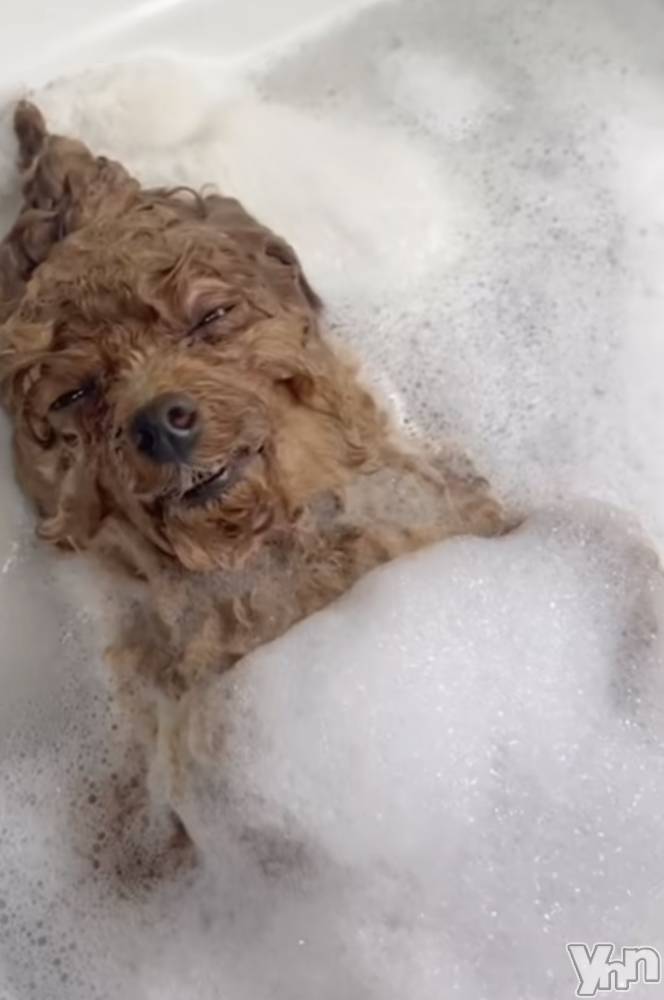 ���ܥ���Х��顦�����CLUB WONDER(����� ������) ��ë ���ۤ�8��22���̥�֥�������������🐶💖��