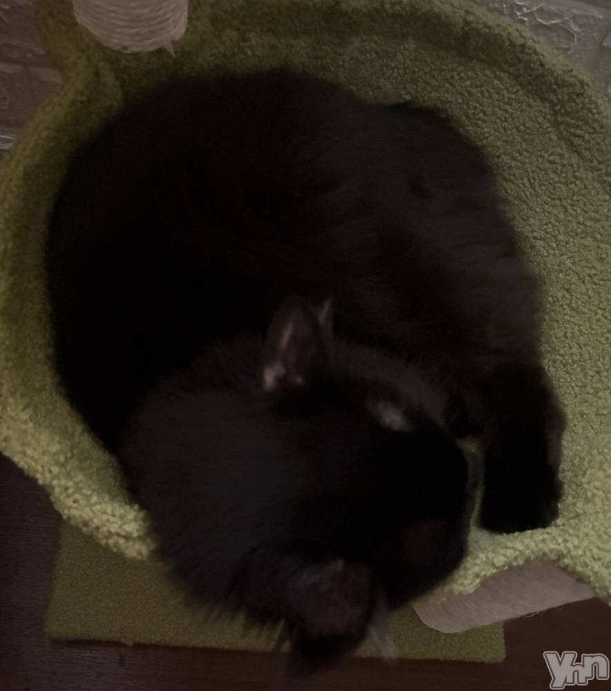 ���ܥ���Х��顦�����CLUB WONDER(����� ������) ��ë ���ۤ�8��28���̥�֥����ֹ�����������դ�ա�