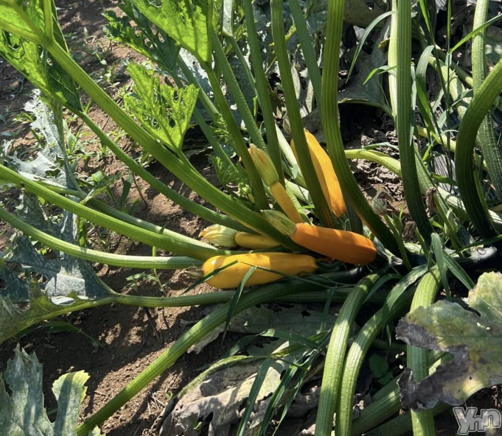 ���ܥ���Х��顦�����CLUB WONDER(����� ������) ��ë ���ۤ�9��8���̥�֥����ֲ��⤷�����ͤ�������