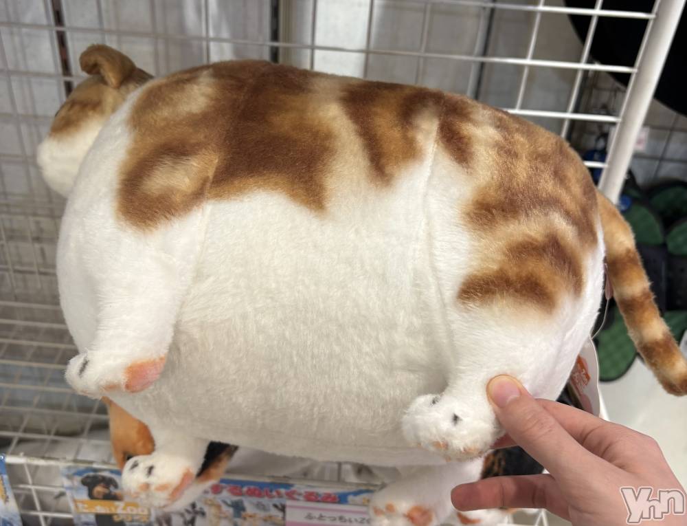 ���ܥ���Х��顦�����CLUB WONDER(����� ������) ��ë ���ۤ�9��17���̥�֥����ָ�ĥ�����������С�