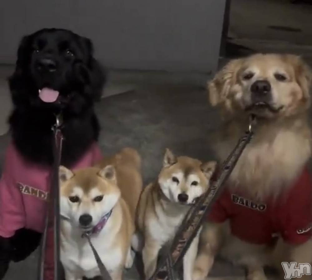 ���ܥ���Х��顦�����CLUB WONDER(����� ������) ��ë ���ۤ�10��4���̥�֥����ֲİ������󡩡�