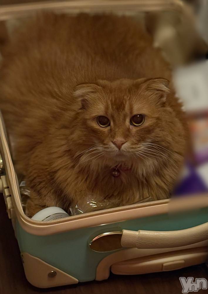 ���ܥ���Х��顦�����CLUB WONDER(����� ������) ��ë ���ۤ�10��24���̥�֥�����Ϣ������🙋‍��️��