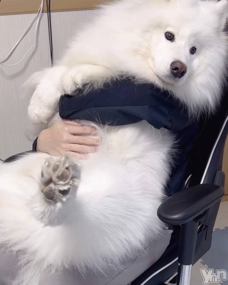 ���ܥ���Х��顦�����CLUB WONDER(����� ������) ��ë ���ۤ�11��4���̥�֥�����2025.11/4��