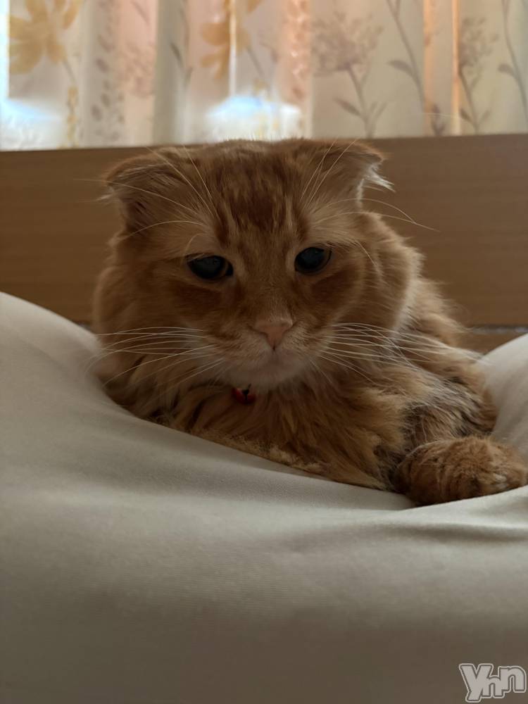 ���ܥ���Х��顦�����CLUB WONDER(����� ������) ��ë ���ۤ�12��3���̥�֥�����2025.12/3��