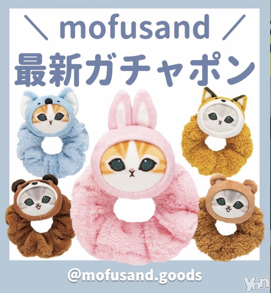 ���ܥ���Х��顦�����CLUB WONDER(����� ������) ��ë ���ۤ�12��6���̥�֥�����2025.12/6��