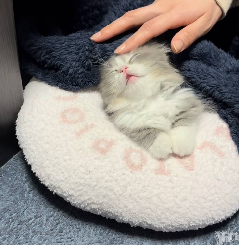 ���ܥ���Х��顦�����CLUB WONDER(����� ������) ��ë ���ۤ�12��14���̥�֥�����2025.12/14��