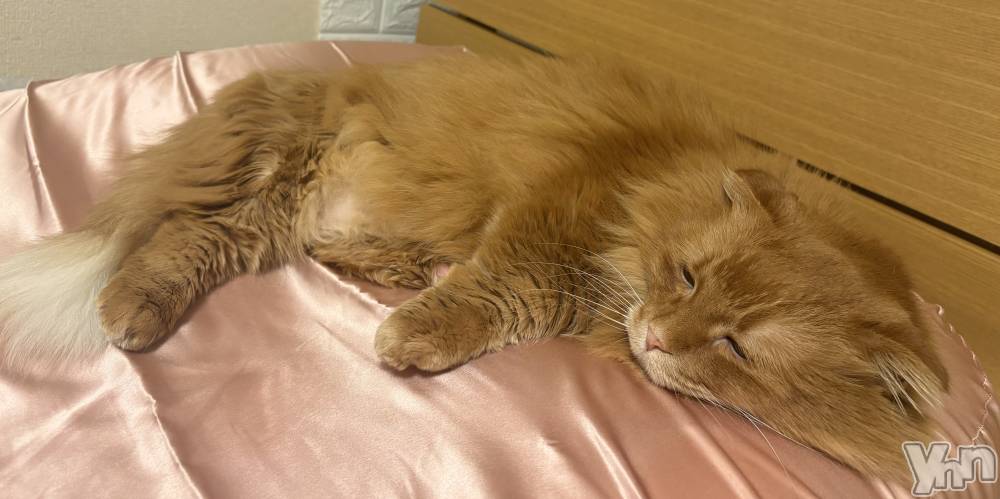 ���ܥ���Х��顦�����CLUB WONDER(����� ������) ��ë ���ۤ�2��12���̥�֥�����2026.2/12��