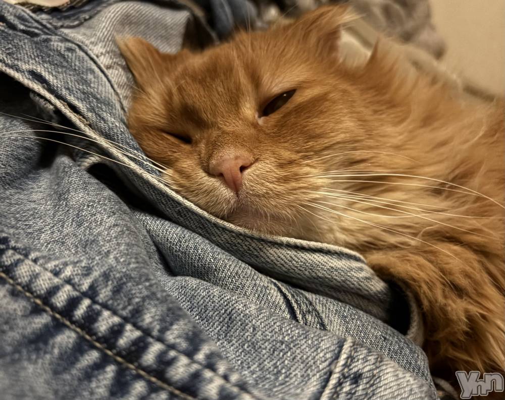 ���ܥ���Х��顦�����CLUB WONDER(����� ������) ��ë ���ۤ�3��8���̥�֥�����2026.3/8��