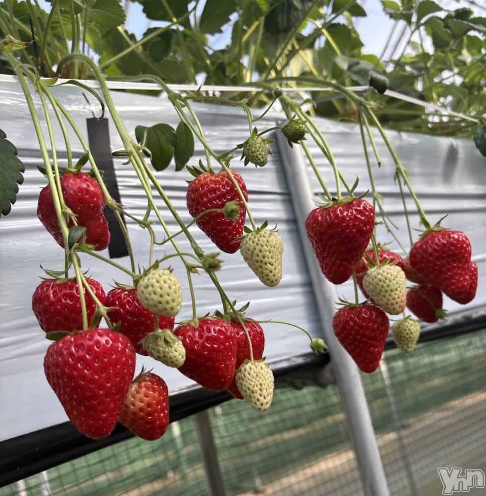 ���ܥ���Х��顦�����CLUB WONDER(����� ������) ��ë ���ۤ�3��10���̥�֥�����2026.3/10��