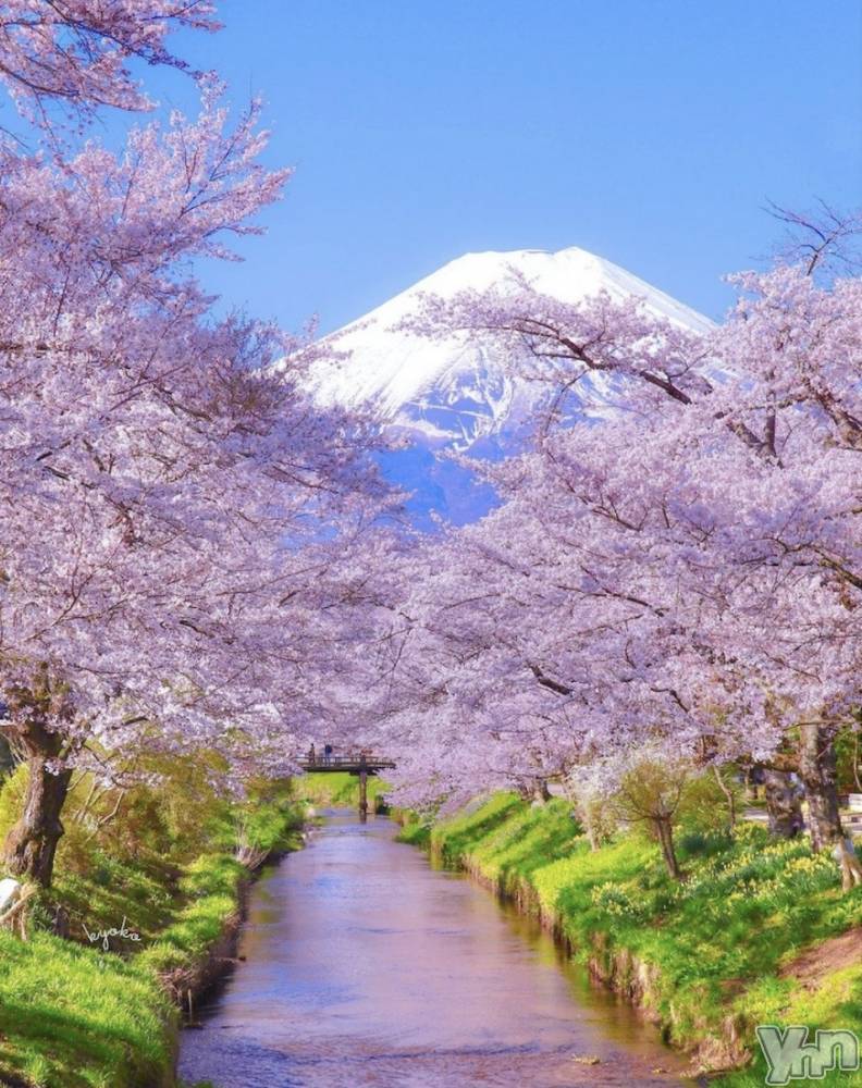 ���ܥ���Х��顦�����CLUB WONDER(����� ������) ��ë ���ۤ�3��20���̥�֥�����2026.3/20��