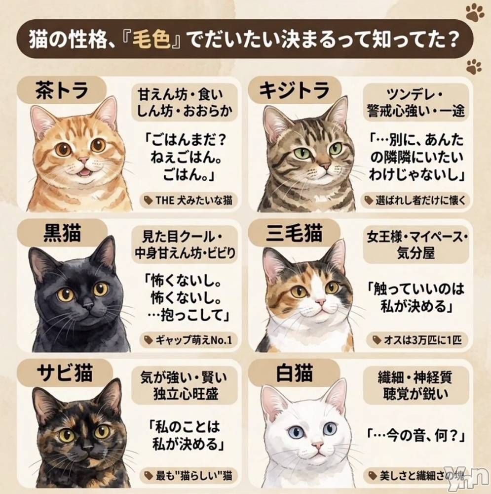 ���ܥ���Х��顦�����CLUB WONDER(����� ������) ��ë ���ۤ�4��3���̥�֥�����2026.4/3��