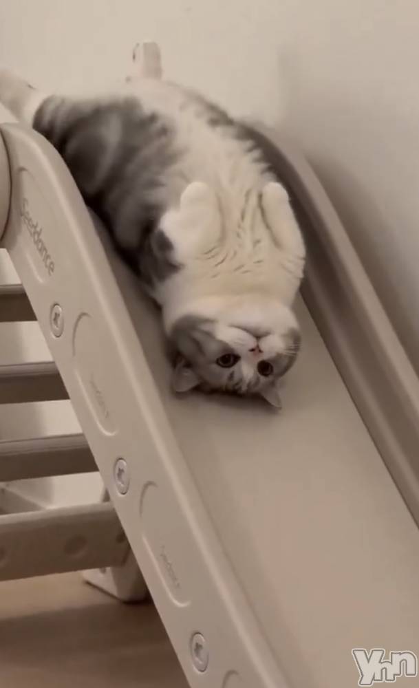 ���ܥ���Х��顦�����CLUB WONDER(����� ������) ��ë ���ۤ�4��9���̥�֥�����2026.4/9��