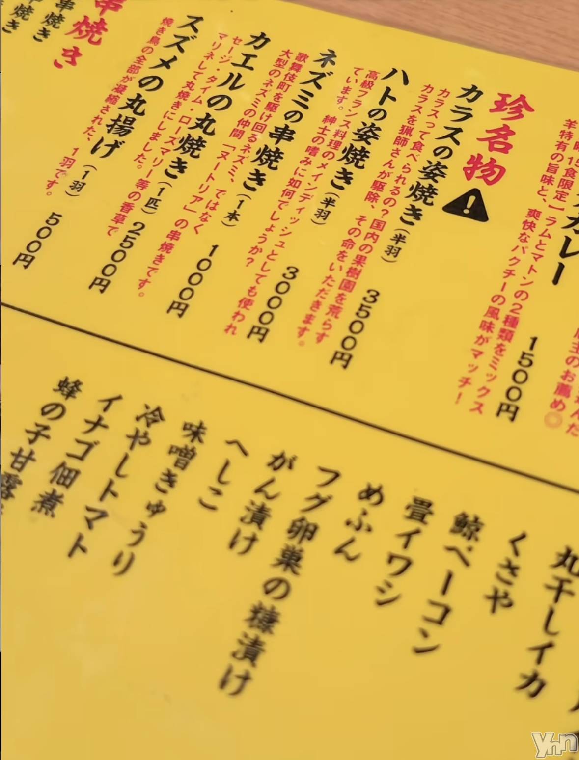 ���ܥ���Х��顦�����CLUB WONDER(����� ������) ��2025ǯ4��10���̥�֥����֥������ơ�