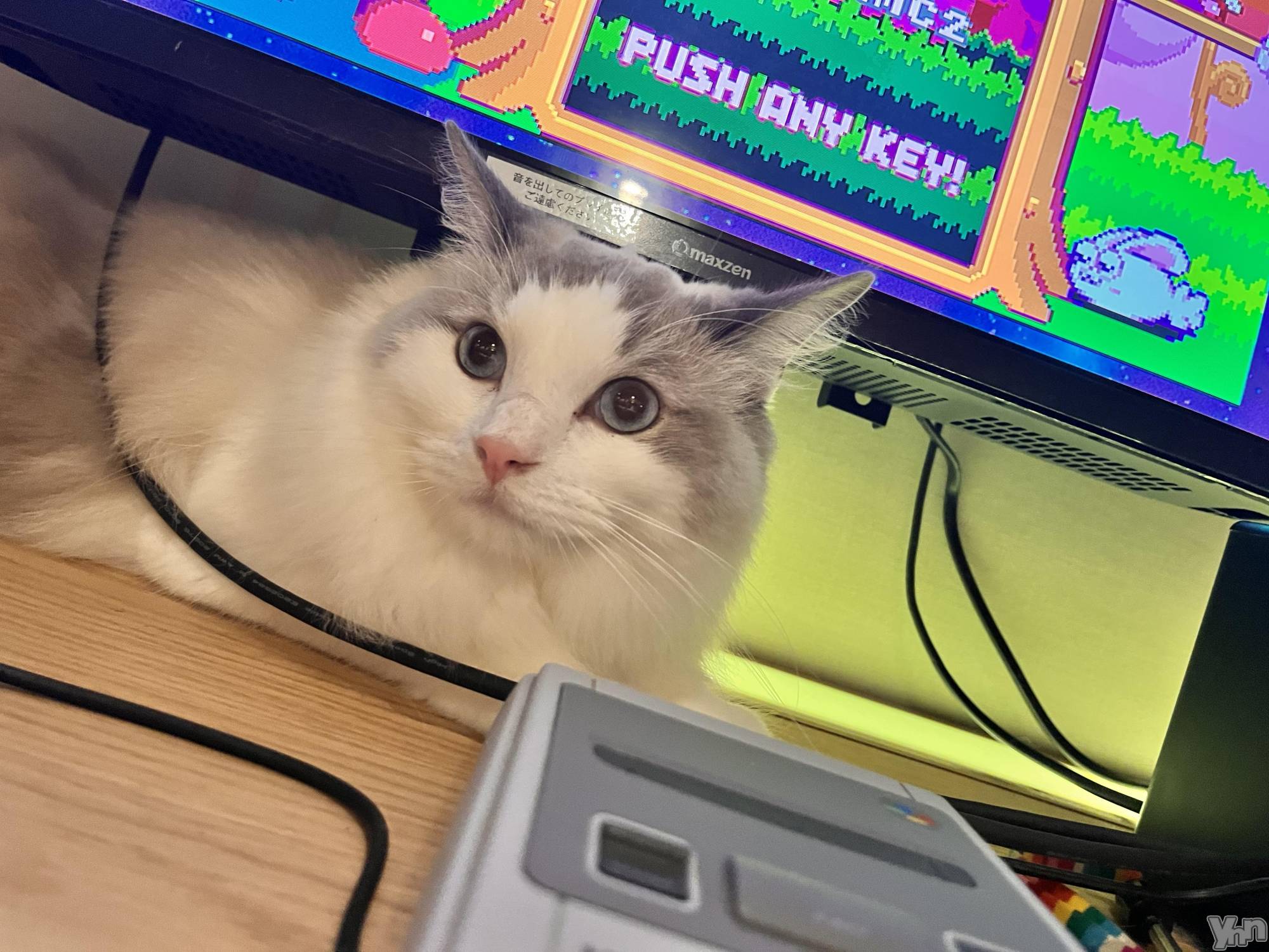 ���ܥ���Х��顦�����CLUB WONDER(����� ������) ��2025ǯ4��17���̥�֥����֤ˤ㡼�����