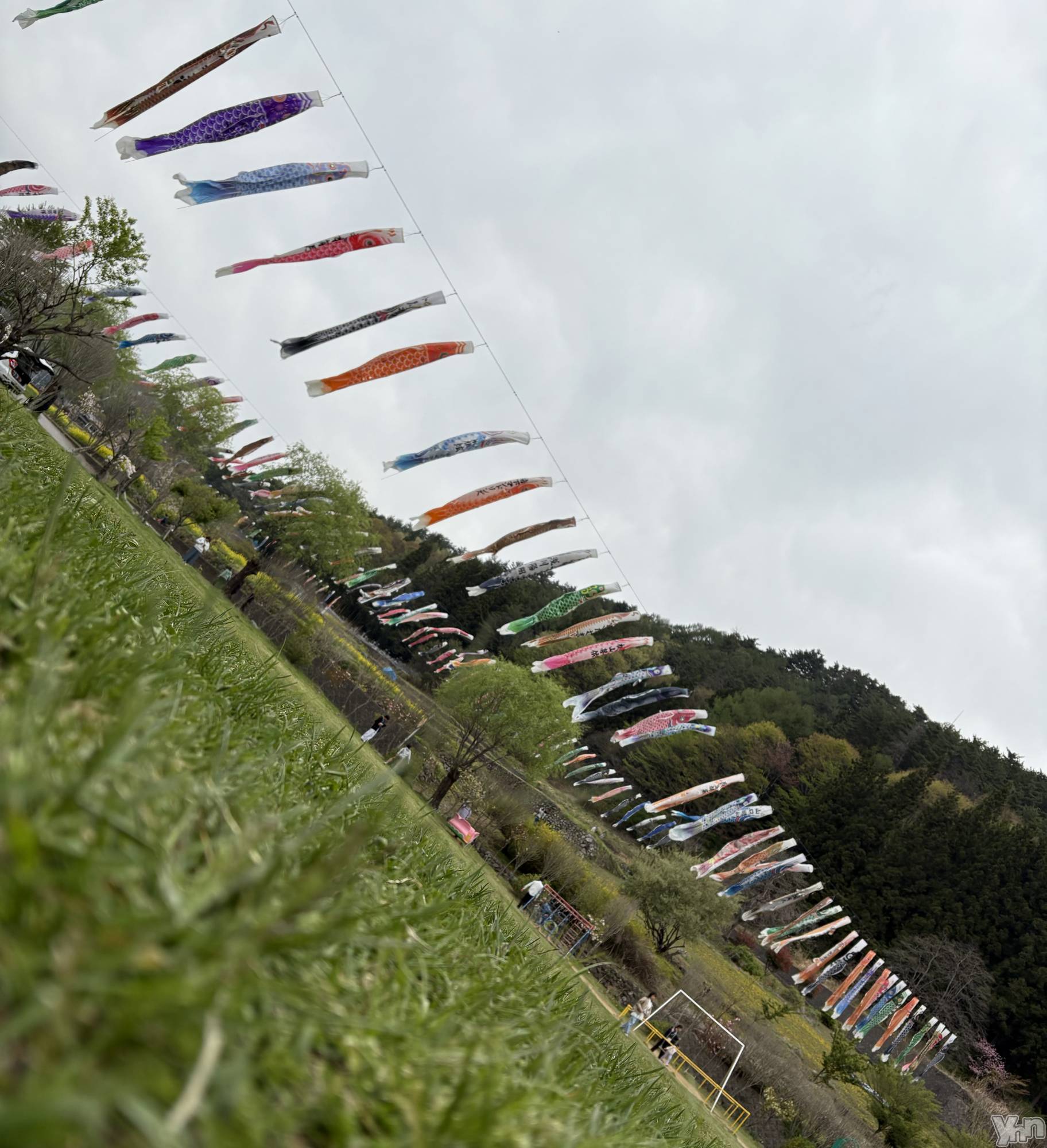 ���ܥ���Х��顦�����CLUB WONDER(����� ������) ��2025ǯ4��29���̥�֥�����GW��ʡ�