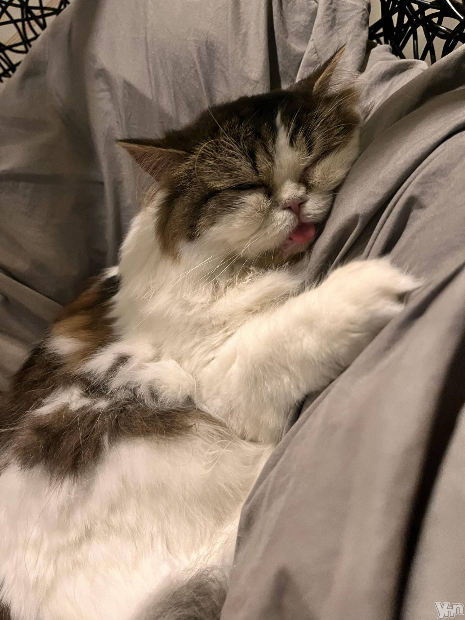 ���ܥ���Х��顦�����CLUB WONDER(����� ������) ��2025ǯ5��3���̥�֥�����ǭ�ˤʤꤿ����