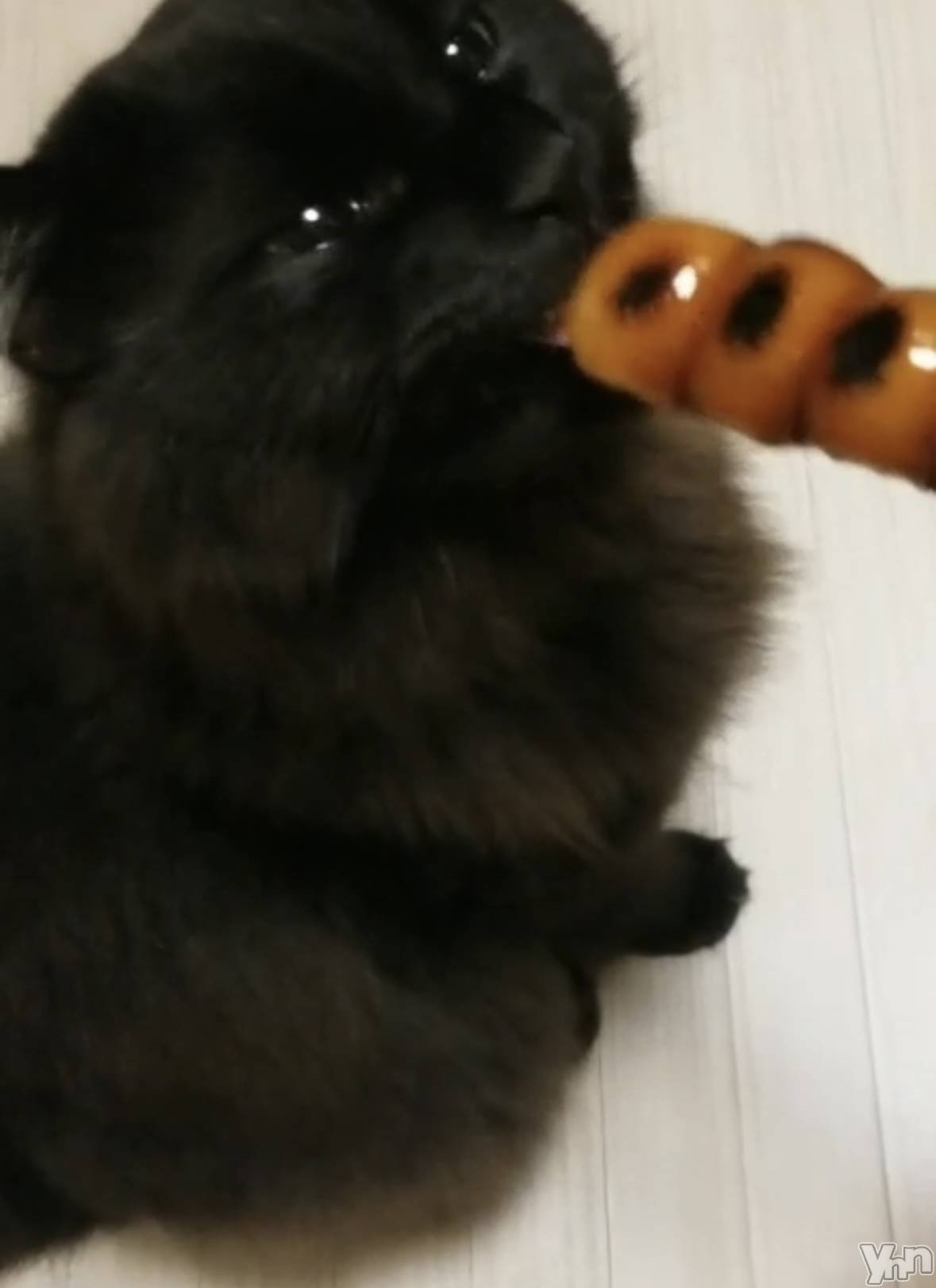 ���ܥ���Х��顦�����CLUB WONDER(����� ������) ��2025ǯ5��11���̥�֥������ĻҤ�🍡�����ʤΡ�