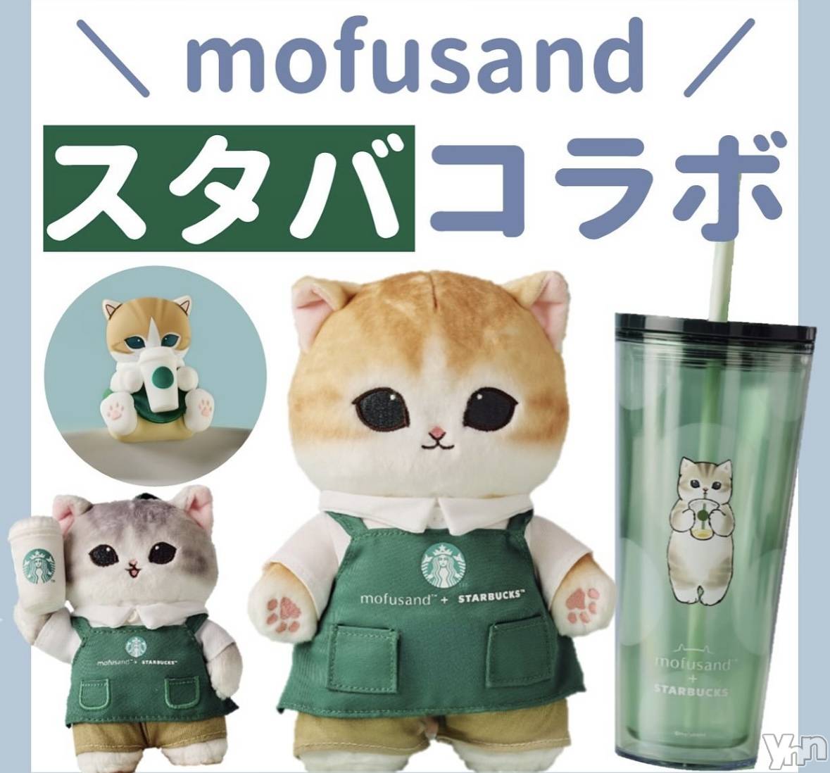 ���ܥ���Х��顦�����CLUB WONDER(����� ������) ��2025ǯ8��16���̥�֥������ߤ�������🐱❤️‍🔥��