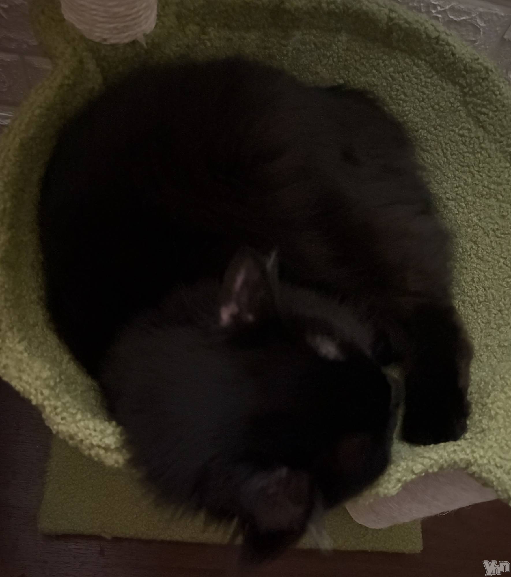 ���ܥ���Х��顦�����CLUB WONDER(����� ������) ��2025ǯ8��28���̥�֥����ֹ�����������դ�ա�