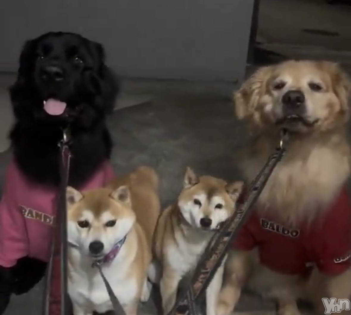 ���ܥ���Х��顦�����CLUB WONDER(����� ������) ��2025ǯ10��4���̥�֥����ֲİ������󡩡�