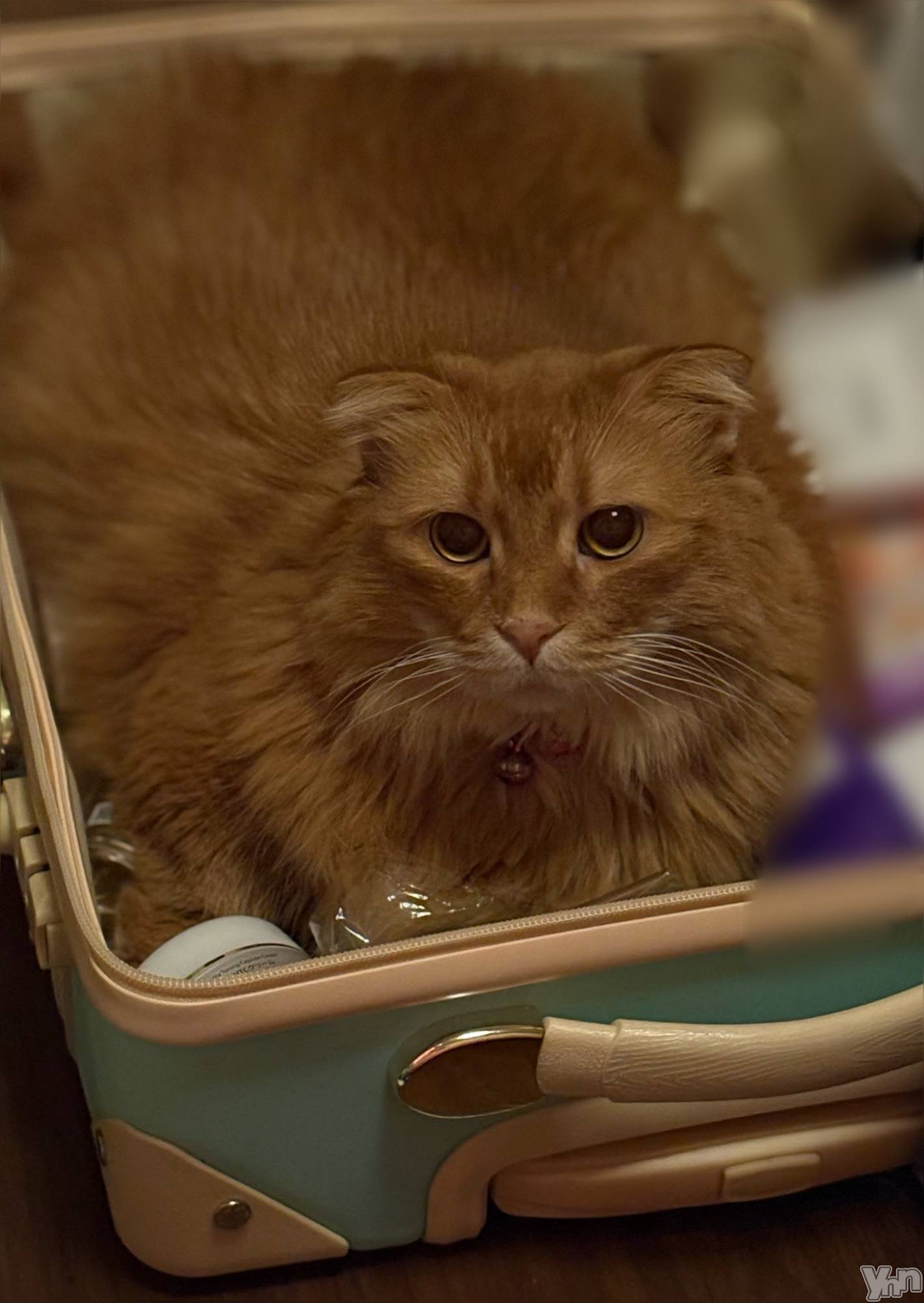 ���ܥ���Х��顦�����CLUB WONDER(����� ������) ��2025ǯ10��24���̥�֥�����Ϣ������🙋‍��️��