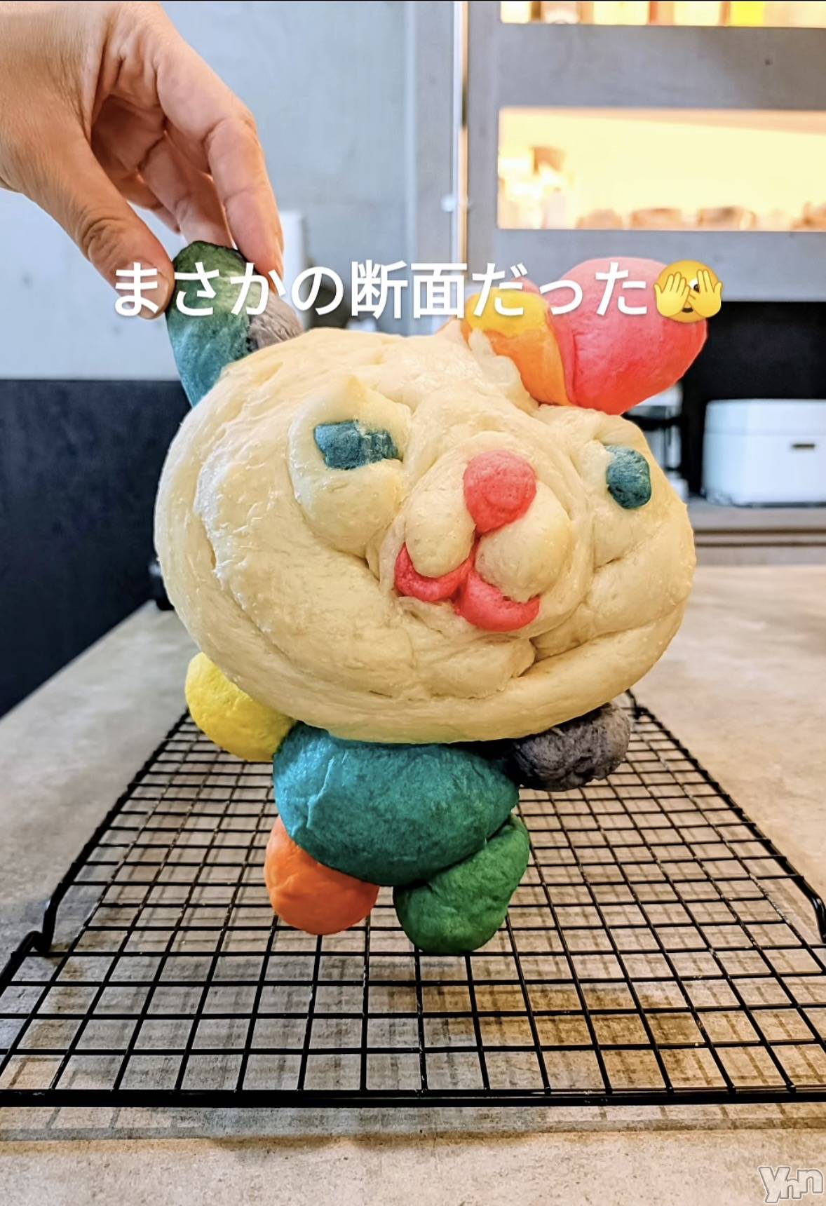 ���ܥ���Х��顦�����CLUB WONDER(����� ������) ��2025ǯ11��2���̥�֥�����2025.11/2��