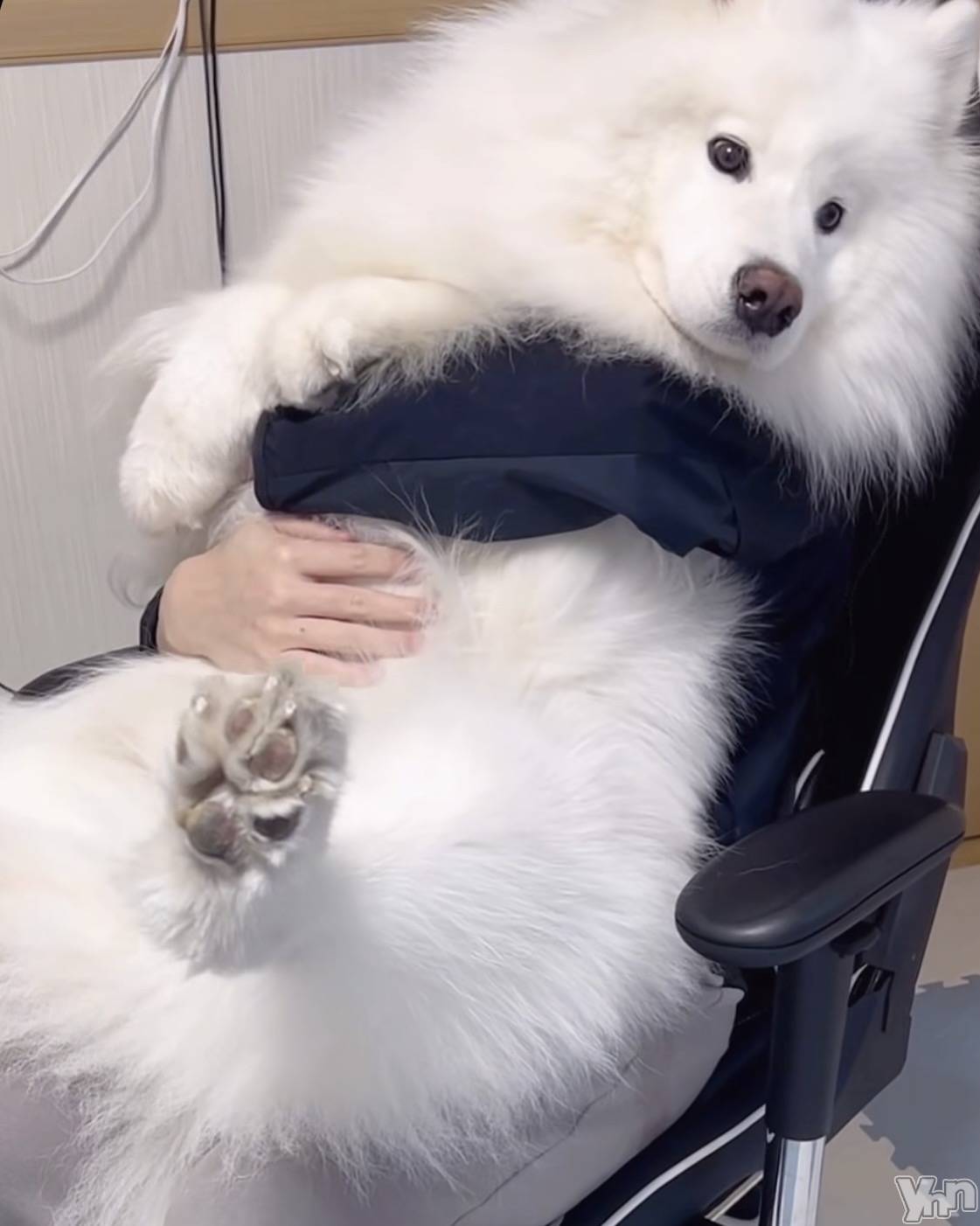 ���ܥ���Х��顦�����CLUB WONDER(����� ������) ��2025ǯ11��4���̥�֥�����2025.11/4��