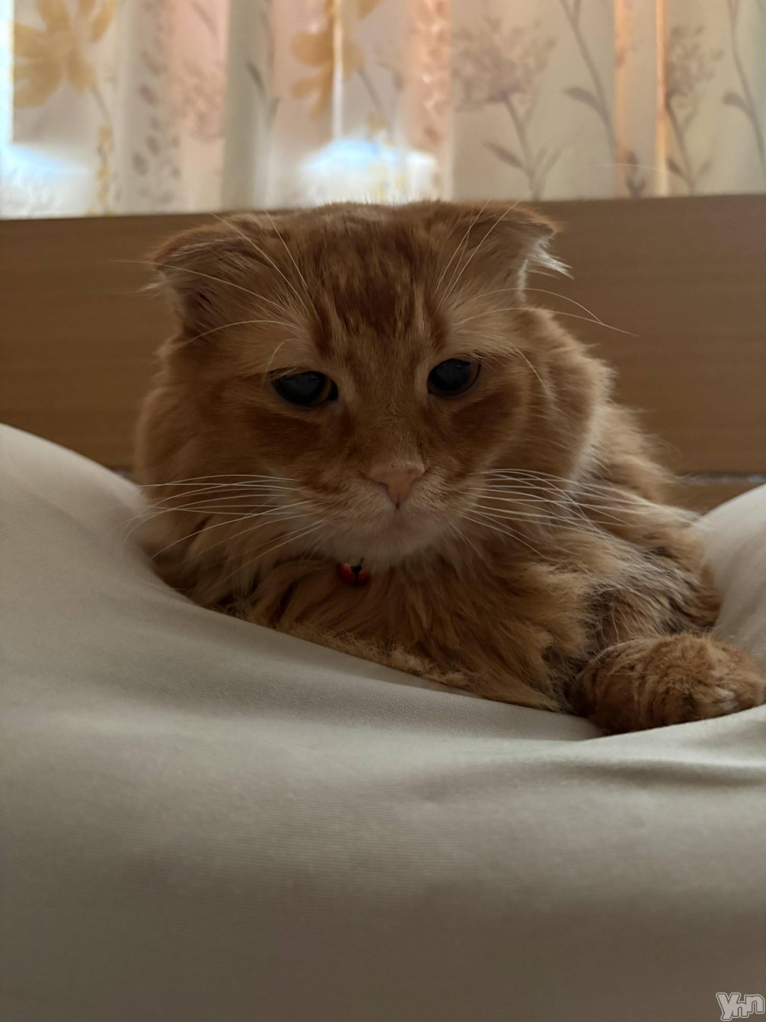 ���ܥ���Х��顦�����CLUB WONDER(����� ������) ��2025ǯ12��3���̥�֥�����2025.12/3��