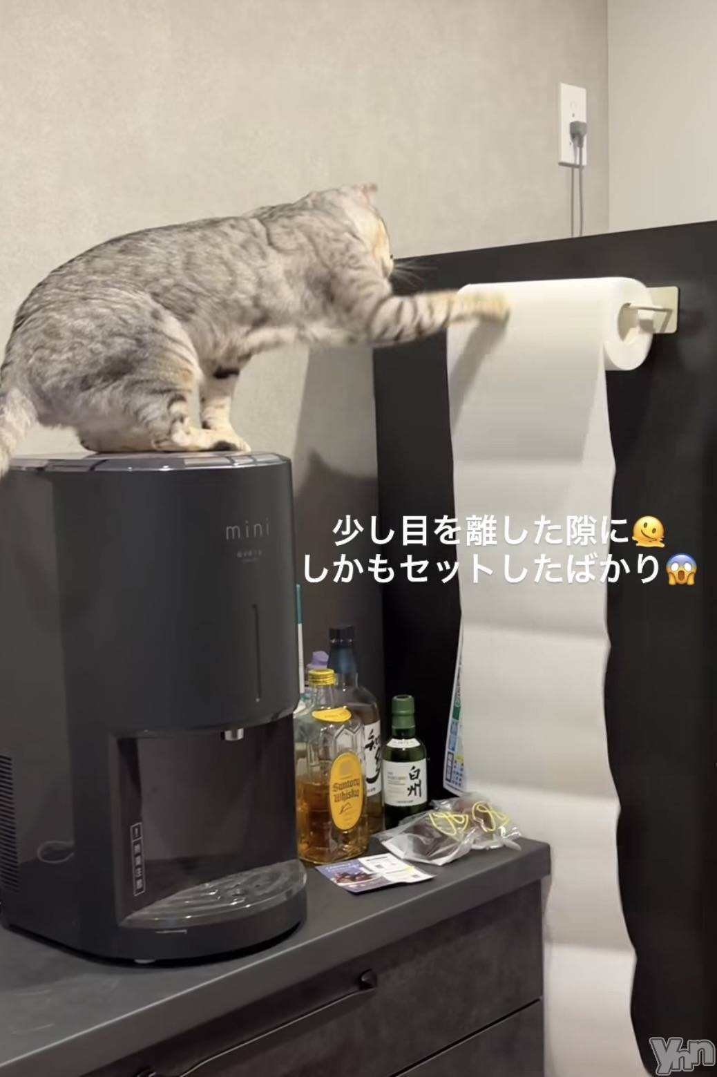 ���ܥ���Х��顦�����CLUB WONDER(����� ������) ��2025ǯ12��23���̥�֥�����2025.12/23��