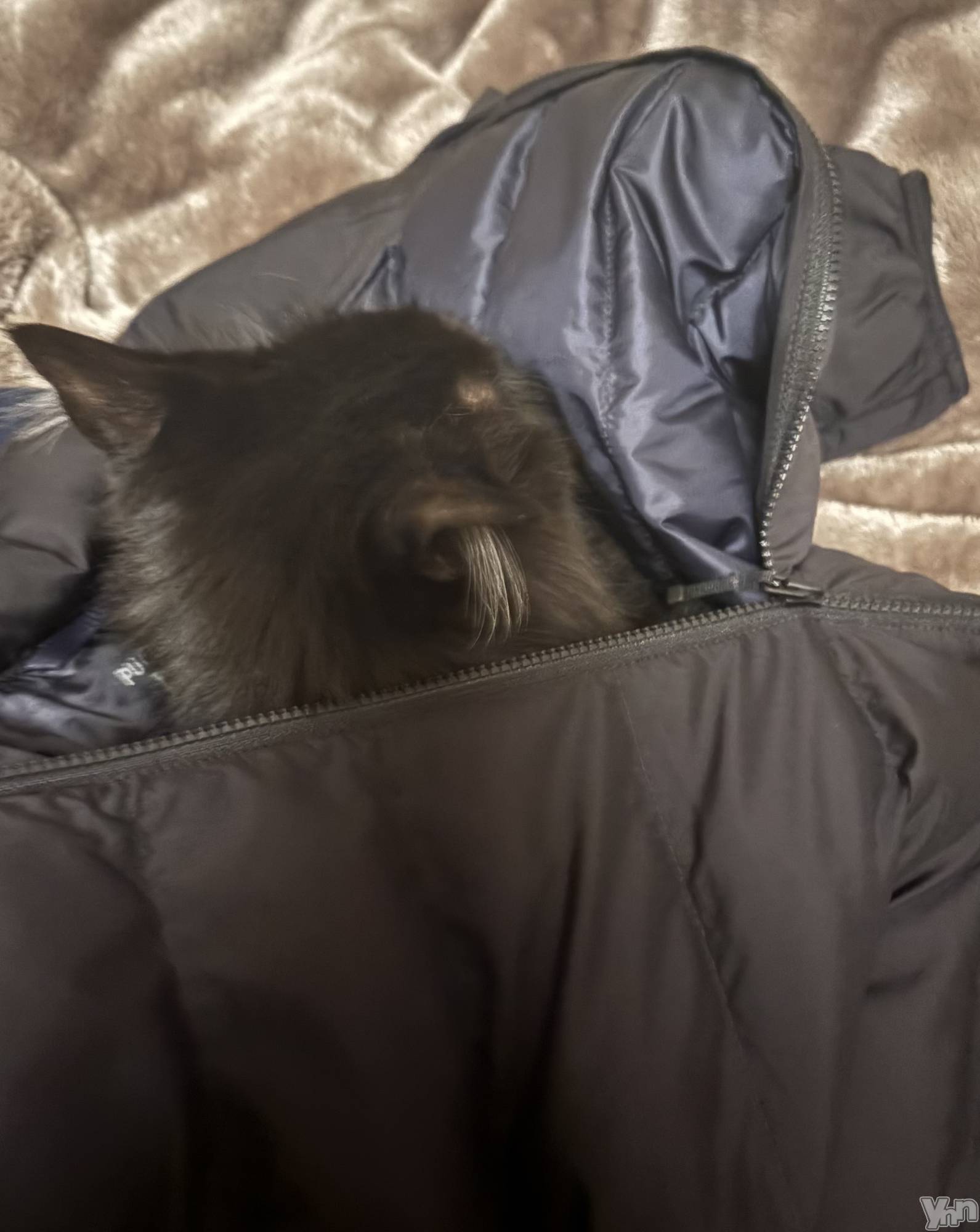 ���ܥ���Х��顦�����CLUB WONDER(����� ������) ��2026ǯ1��11���̥�֥�����2026.1/11��