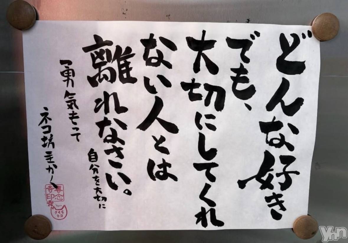 ���ܥ���Х��顦�����CLUB WONDER(����� ������) ��2026ǯ1��17���̥�֥�����2026.1/17��