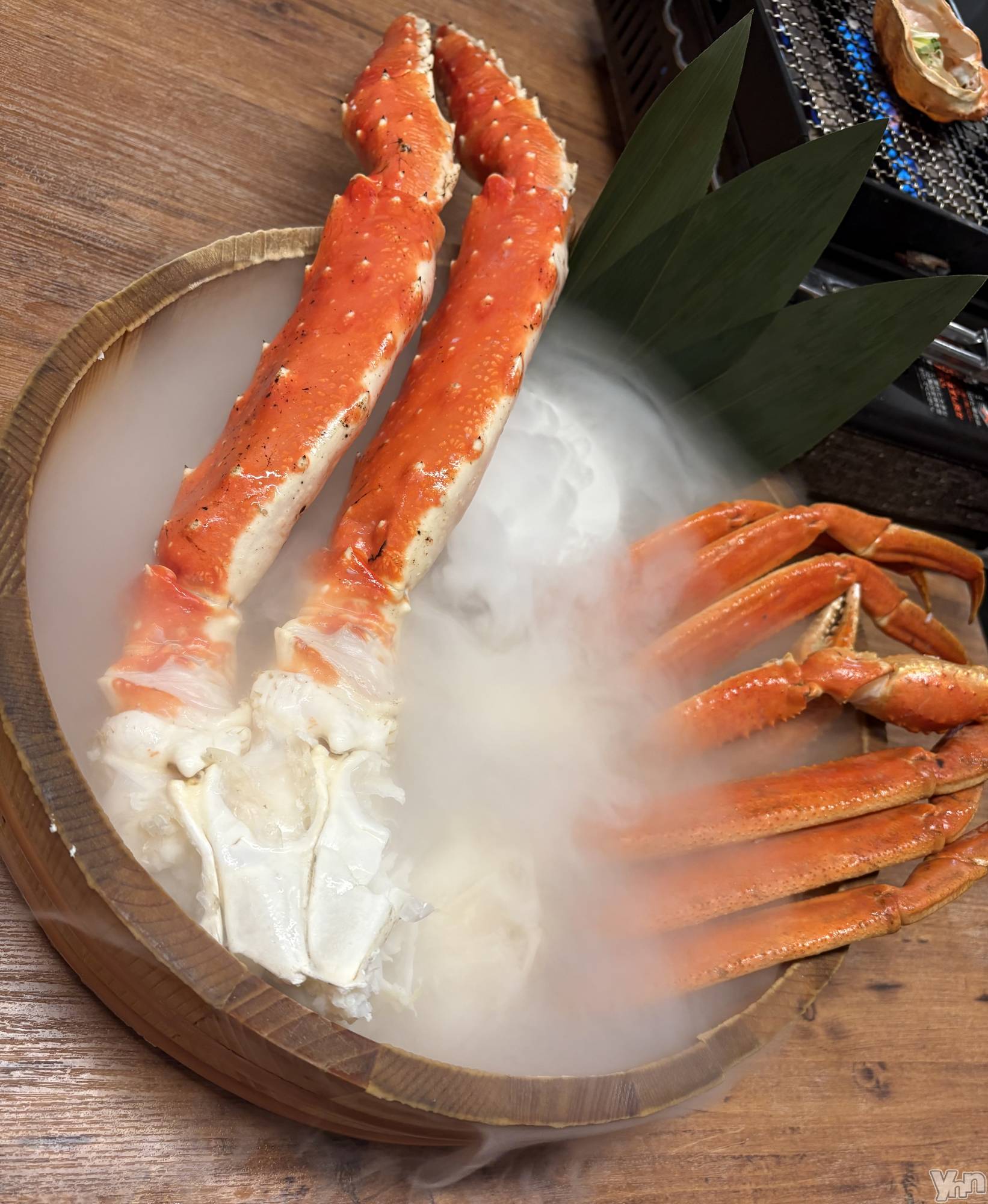 ���ܥ���Х��顦�����CLUB WONDER(����� ������) ��2026ǯ2��10���̥�֥�����2026.2/10��